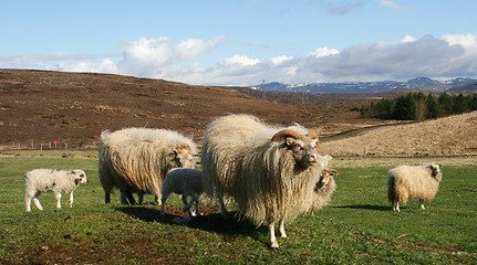 Image showing on the lookout