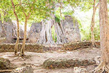 Image showing Gede Ruins