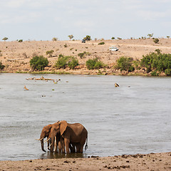 Image showing Safari in Kenya