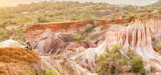 Image showing Marafa Canyon - Kenya