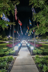 Image showing flag alley