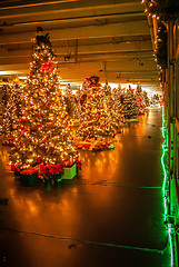 Image showing decorated christmas trees