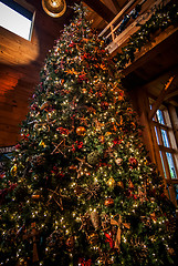 Image showing decorated christmas tree indoor