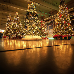 Image showing decorated christmas trees