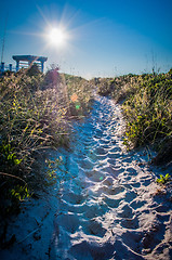 Image showing Wilmington coastal scene, Wilmington, North Carolina