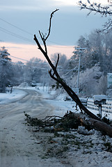 Image showing snow covered road