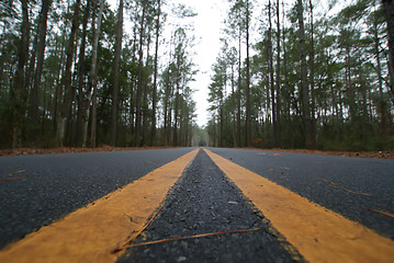 Image showing road perspective