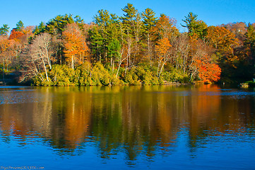 Image showing lake reflections