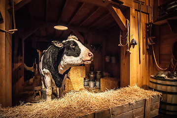 Image showing cow on the farm