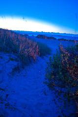 Image showing Wilmington coastal scene, Wilmington, North Carolina