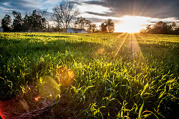 Image showing sunset over farm field