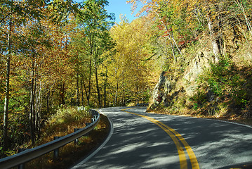 Image showing autumn colors