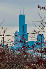 Image showing chicago skyline and streets