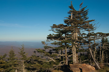 Image showing Appalachian Mountains from Mount Mitchell, the highest point in 