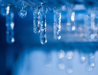Image showing blue icicles