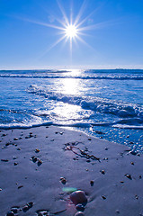 Image showing Wilmington coastal scene, Wilmington, North Carolina