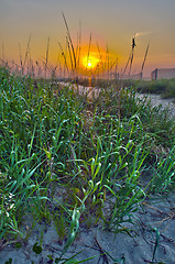 Image showing sunrise at myrtle beach