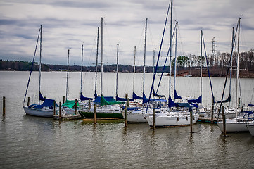 Image showing yachts marina