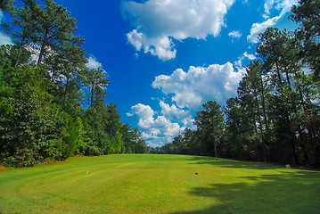 Image showing golf course landscape