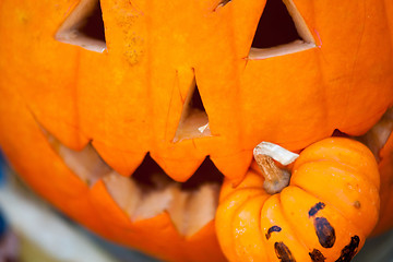 Image showing pumpkin eating pumpkin