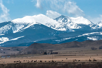 Image showing rocky mountains road