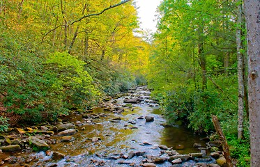 Image showing mountain streams