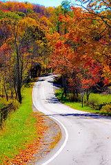 Image showing autumn colors