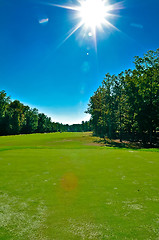 Image showing golf course landscape