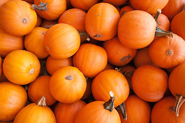 Image showing pumpkins on pumpkin patch