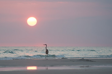 Image showing panama city florida