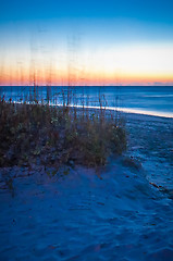 Image showing Wilmington coastal scene, Wilmington, North Carolina