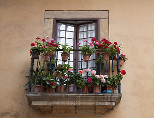 Image showing Balcony with Geranium