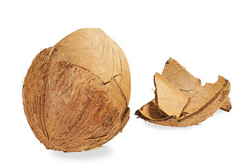 Image showing Fresh coconut and coconut shells