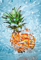 Image showing Fresh pineapple