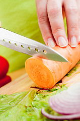 Image showing Woman's hands cutting vegetables