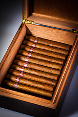 Image showing Cigars in humidor