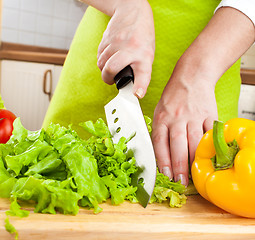 Image showing Woman's hands cutting vegetables