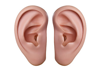 Image showing Human ears