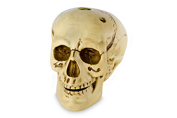 Image showing Human skull