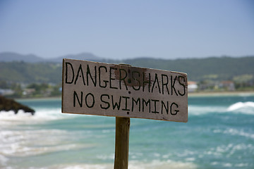 Image showing Danger sharks - no swimming