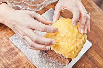 Image showing Hands modeling cake icing