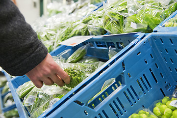 Image showing Fresh Vegetables