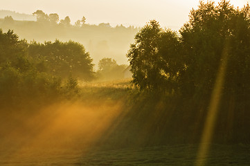 Image showing Warm light