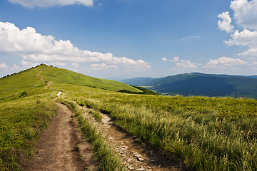 Image showing Green mountain Carpathians