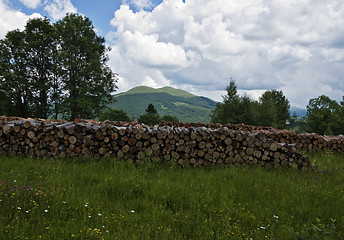 Image showing Green mountain Carpathians