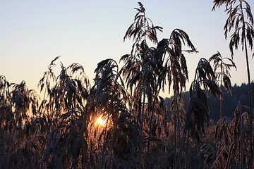 Image showing Winter in Oslo