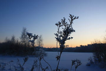 Image showing Winter in Oslo