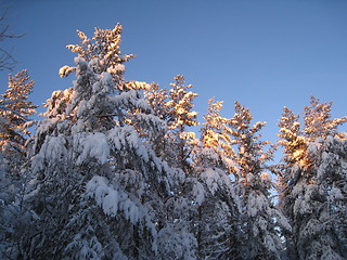 Image showing winter in Oslo