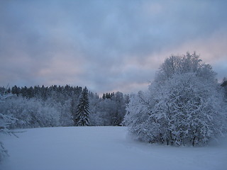 Image showing winter in Oslo