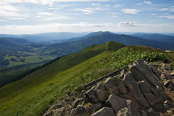 Image showing Green mountain Carpathians